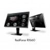 Eizo RadiForce RX660 Monitor