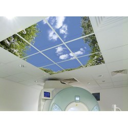 Relax & View® Wall and Ceiling