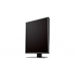 Eizo RadiForce MX216-SB