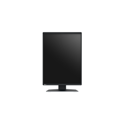 Eizo RadiForce RX370 Monitor