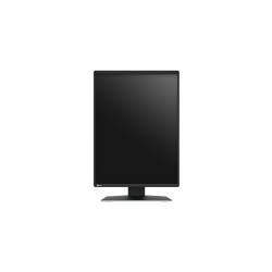 Eizo RadiForce RX370