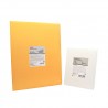 Carestream - Ecran GP-2 Direct View