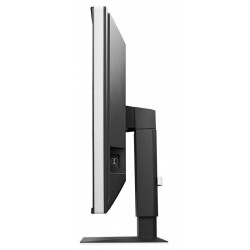 EIZO RadiForce GX560 / GX560-MD