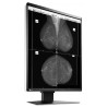 EIZO RadiForce GX560 / GX560-MD