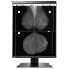 EIZO RadiForce GX560 / GX560-MD