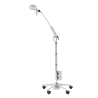 lampe examen irm