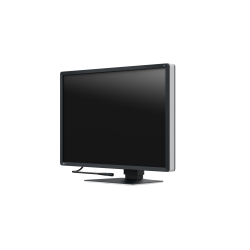 Eizo RadiForce RX670