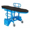 Fixed height "Cube" MRI Trolley